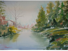 Il fiume Piavesella
